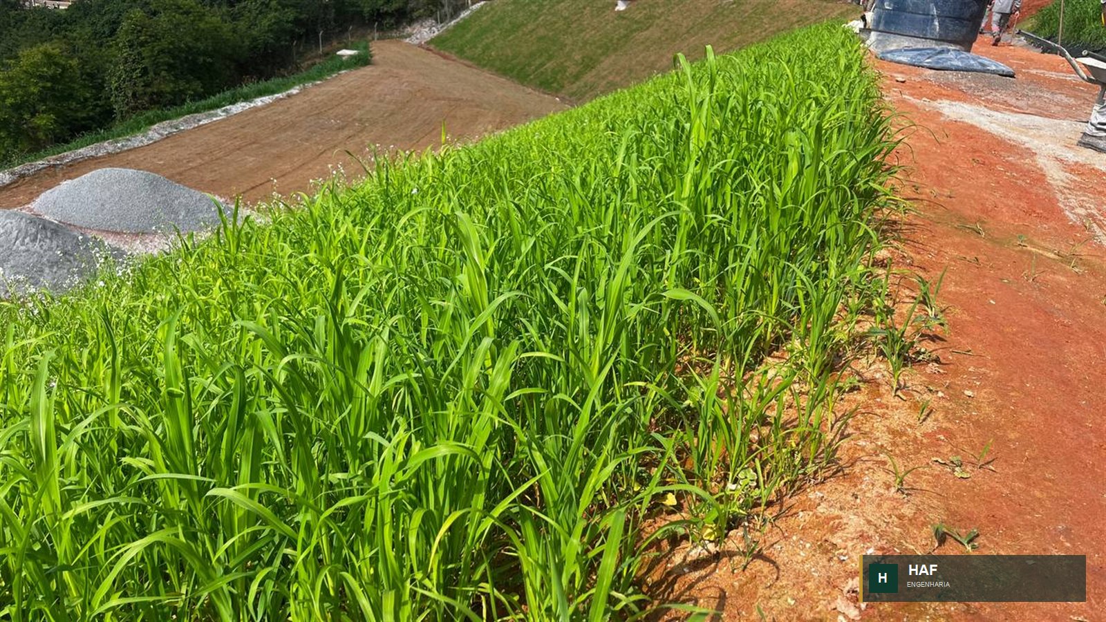 Talude em revegetação com hidrossemeadura e área de obra