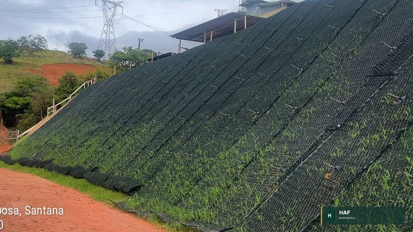 Solo grampeado verde com biomanta, grampos aparentes e vegetação inicial no talude